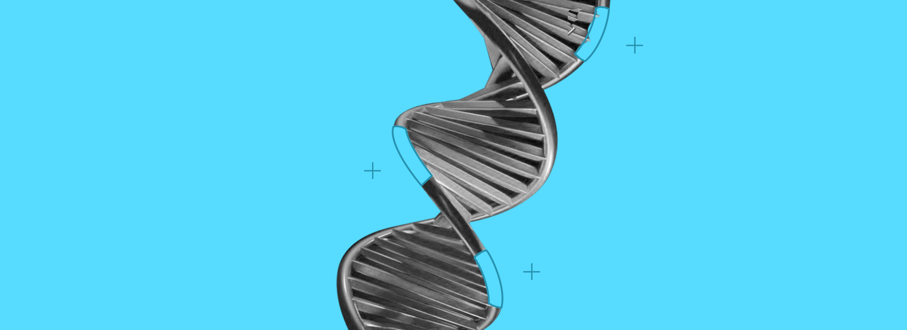 Business online banking illustration